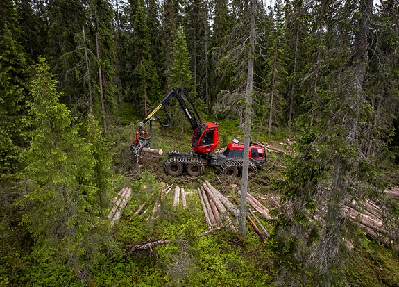 Bilde 5 av 5 i jobbannonse-galleriet