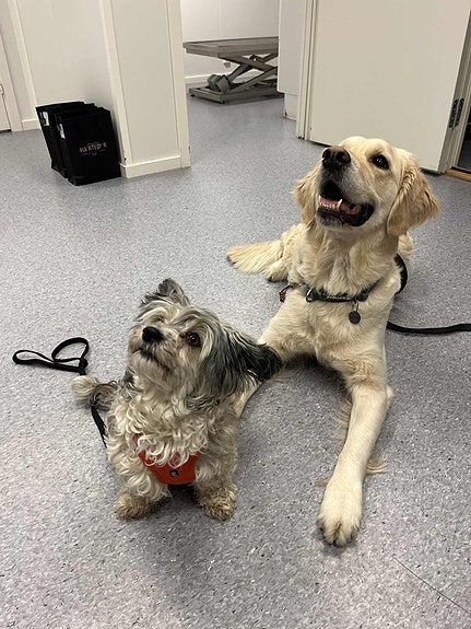 Bilde 3 av 4 i jobbannonse-galleriet