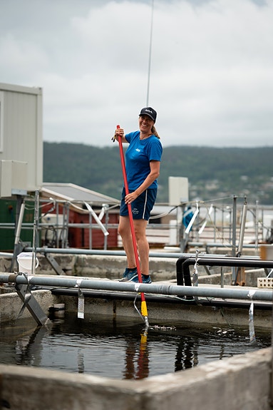 Bilde 2 av 5 i jobbannonse-galleriet