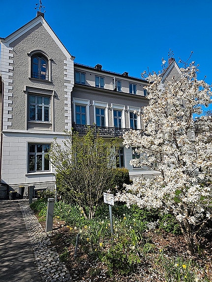 Bilde 1 av 4 i jobbannonse-galleriet