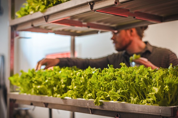 Bilde 3 av 5 i jobbannonse-galleriet