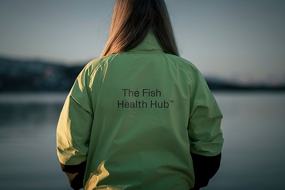 Bilde 10 av 10 i jobbannonse-galleriet