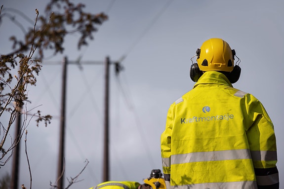 Bilde 7 av 9 i jobbannonse-galleriet