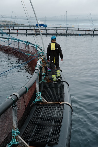 Bilde 2 av 6 i jobbannonse-galleriet