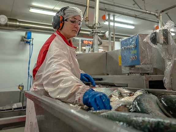 Bilde 1 av 3 i jobbannonse-galleriet