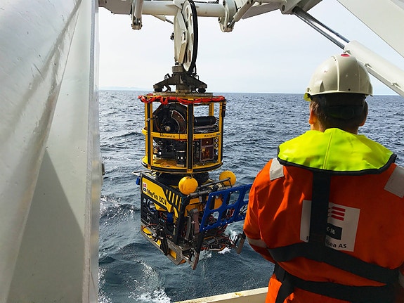 Bilde 1 av 1 i jobbannonse-galleriet