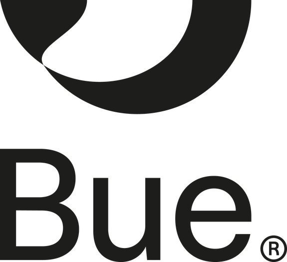 Bue Salmon logo