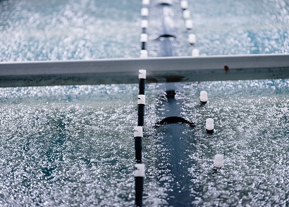 Bilde 2 av 4 i jobbannonse-galleriet