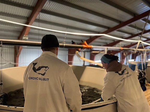 Bilde 1 av 7 i jobbannonse-galleriet