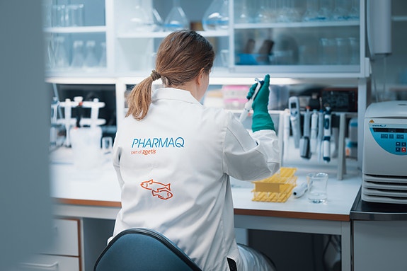 Bilde 2 av 3 i jobbannonse-galleriet