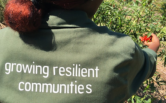 Bilde 5 av 8 i jobbannonse-galleriet