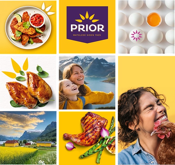 Bilde 2 av 6 i jobbannonse-galleriet