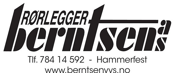 Rørlegger Berntsen logo