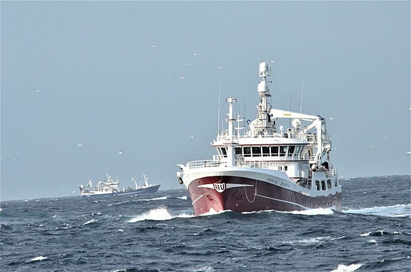 Bilde 1 av 4 i jobbannonse-galleriet