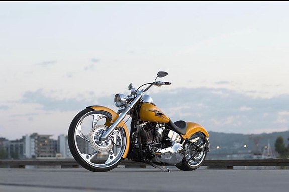 Harley-Davidson Covington Custom FXSTDI DEUCE «Gold» 3 of 5