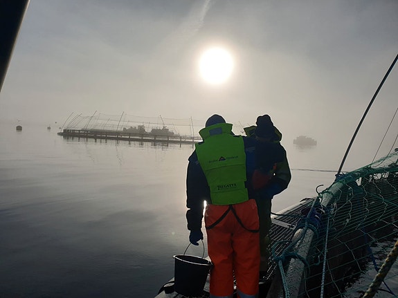 Bilde 8 av 8 i jobbannonse-galleriet