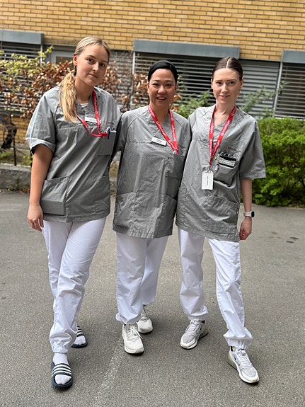 Bilde 1 av 1 i jobbannonse-galleriet