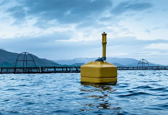 Bilde 2 av 3 i jobbannonse-galleriet