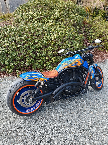 Harley-Davidson V-Rod/Night Rod 2 of 5