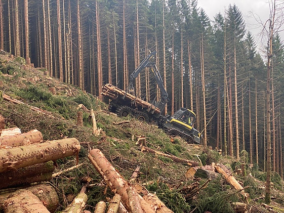 Bilde 2 av 6 i jobbannonse-galleriet