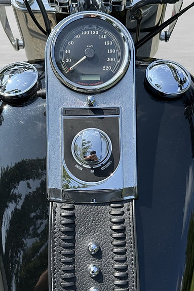 Harley-Davidson FAT BOY FLSTF 13 of 30