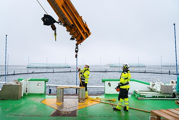 Bilde 1 av 1 i jobbannonse-galleriet