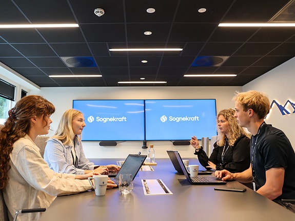 Bilde 3 av 4 i jobbannonse-galleriet