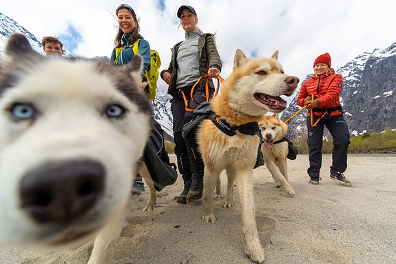 Bilde 8 av 9 i jobbannonse-galleriet