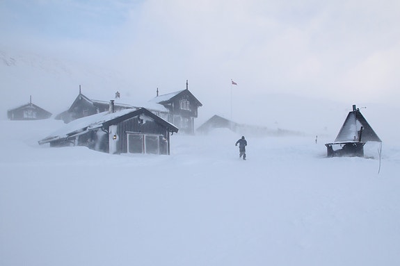 Vintersikker plass 😍