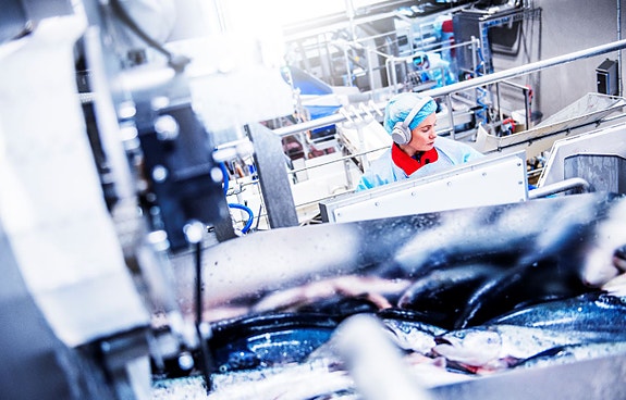 Bilde 3 av 4 i jobbannonse-galleriet