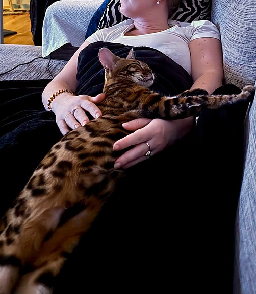 Product image 5 of 7