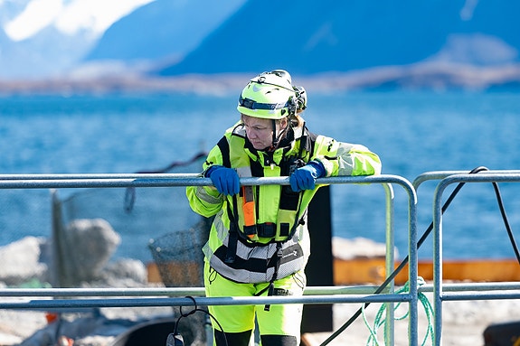 Bilde 3 av 6 i jobbannonse-galleriet