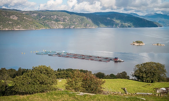 Bilde 3 av 4 i jobbannonse-galleriet