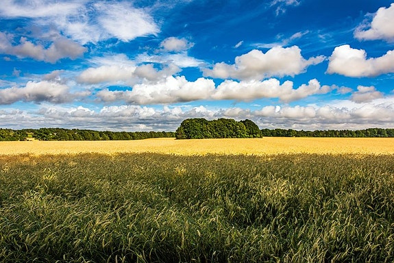 Bilde 4 av 6 i jobbannonse-galleriet