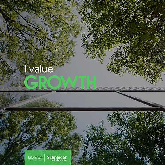 Bilde 2 av 3 i jobbannonse-galleriet