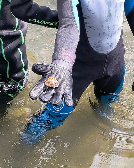 Bilde 3 av 4 i jobbannonse-galleriet