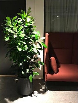 Bilde 5 av 10 i jobbannonse-galleriet