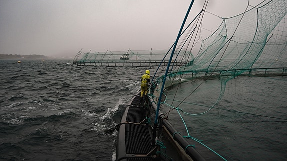 Bilde 4 av 6 i jobbannonse-galleriet