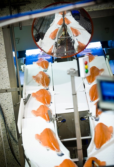 Bilde 2 av 4 i jobbannonse-galleriet