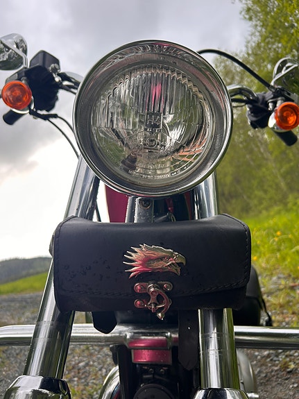 Harley-Davidson XL 883 Sportster 17 of 21