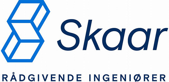 Dagfin Skaar A/S logo