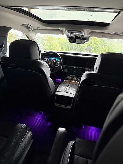 Hongqi E-HS9 15 of 21