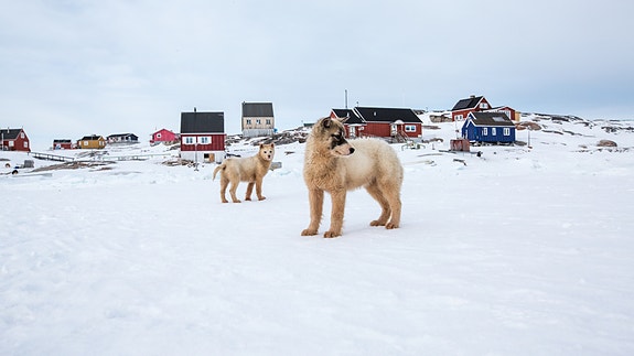 Bilde 5 av 10 i jobbannonse-galleriet
