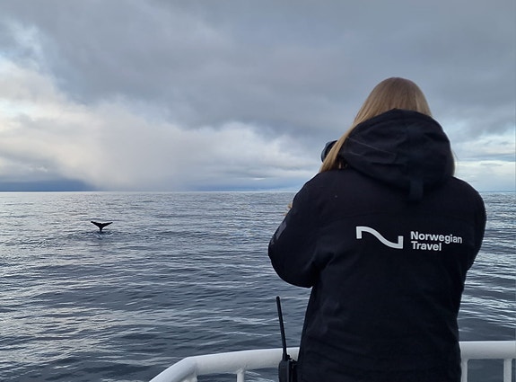 Bilde 3 av 10 i jobbannonse-galleriet