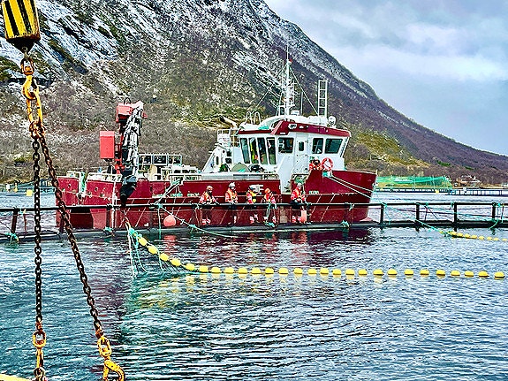 Bilde tatt av Steve Hernes, iLaks