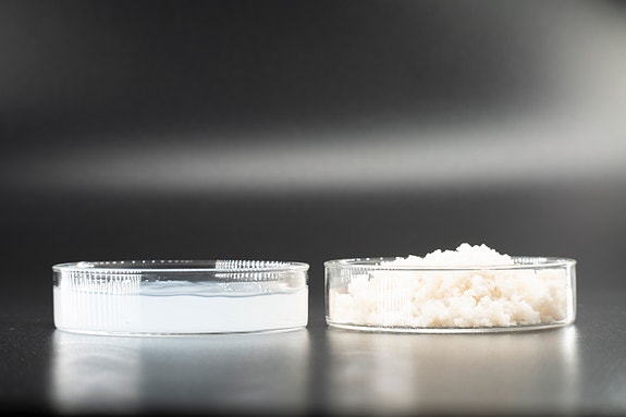 Bilde 1 av 4 i jobbannonse-galleriet