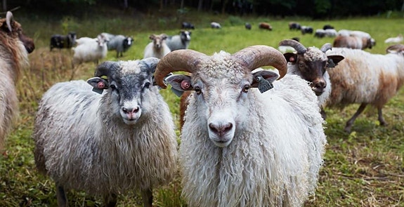 Bilde 1 av 1 i jobbannonse-galleriet