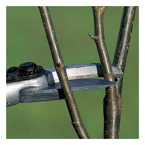 Bilde 8 av 8 i jobbannonse-galleriet