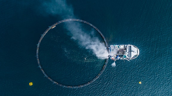 Bilde 3 av 4 i jobbannonse-galleriet