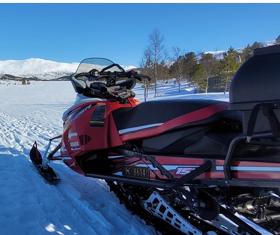 Yamaha Sidewinder 3 of 9